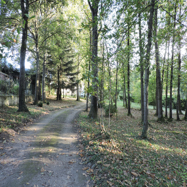 Offres de vente Maison Saumur 49400